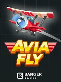 Avia Fly crash at 588H COM
